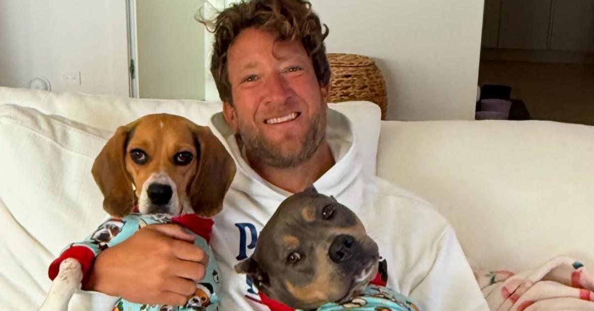 Dave Portnoy's Response to Summer House Drama Is More Tea