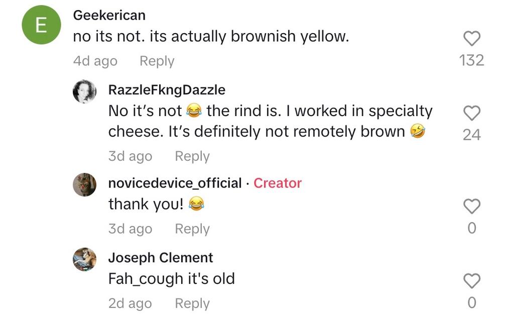 Dollar General Shopper Finds Brown Parmesan Cheese in Store