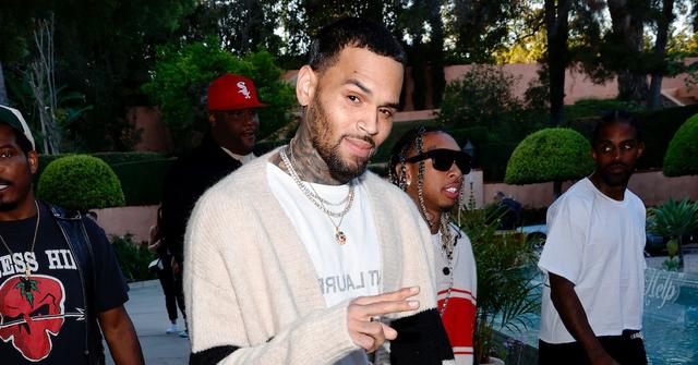 How Many Baby Mamas Does Chris Brown Have? Here's the Scoop