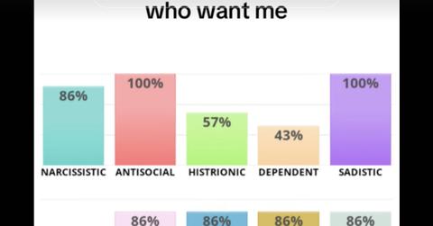 Personality results from IDR Labs.