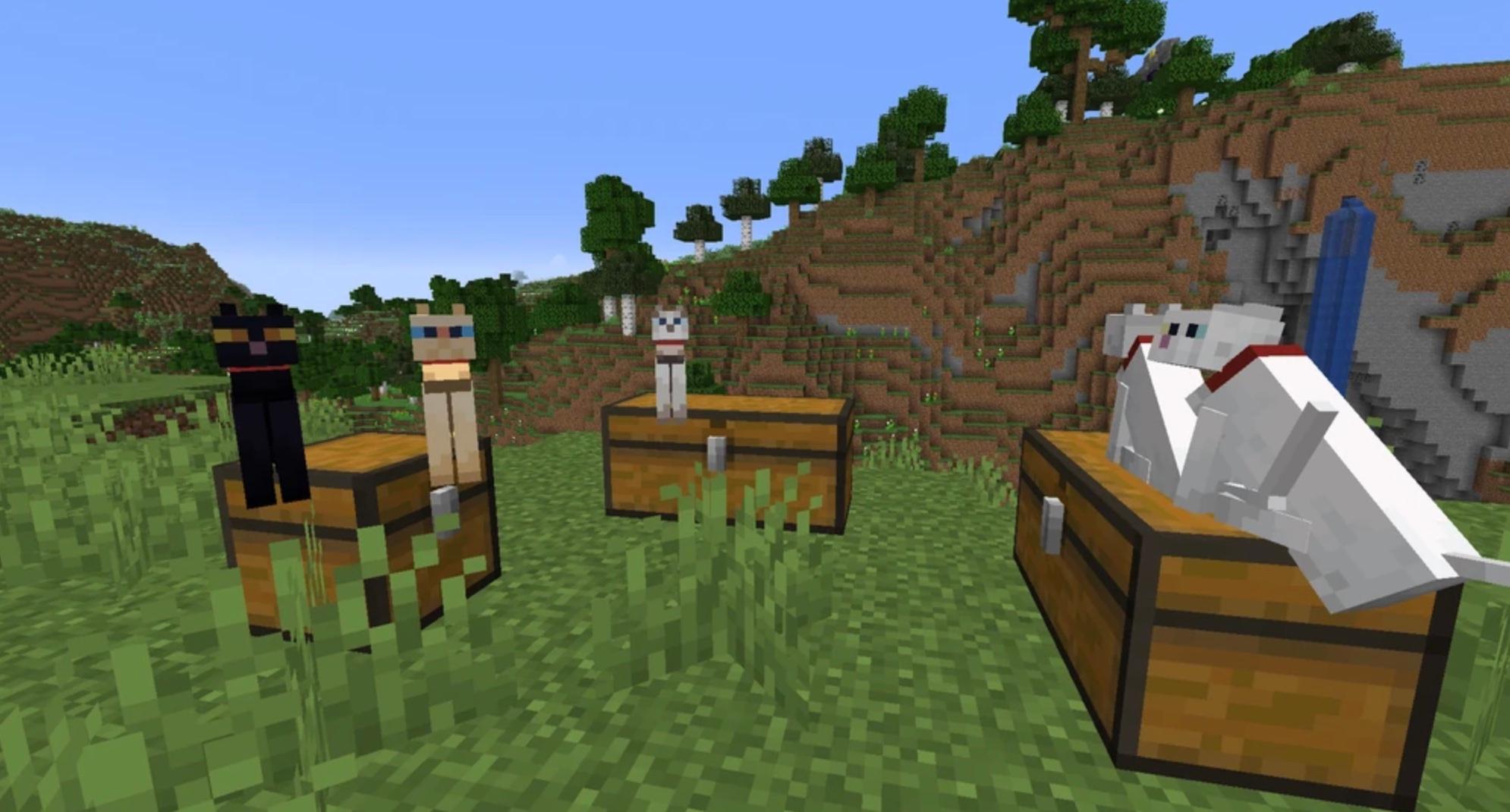 How to Find and Tame a Cat in 'Minecraft'
