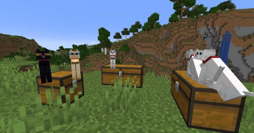 how-to-find-and-tame-a-cat-in-minecraft