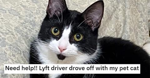 Lyft driver took off with a customer's cat, Tux, still in the vehicle
