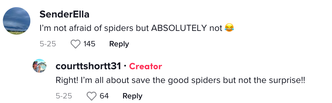 A commenter discussing @courttshortt31's TikTok