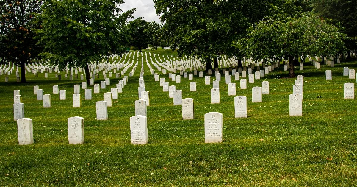 Fallen soldiers