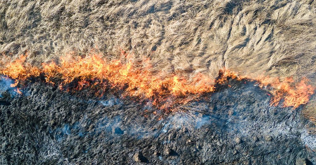 What Does a Red Flag Warning Mean in Weather?