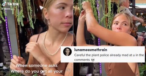 Plant Stealer TikTok