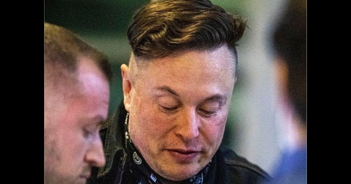 Elon Musk's haircut in 2021. 