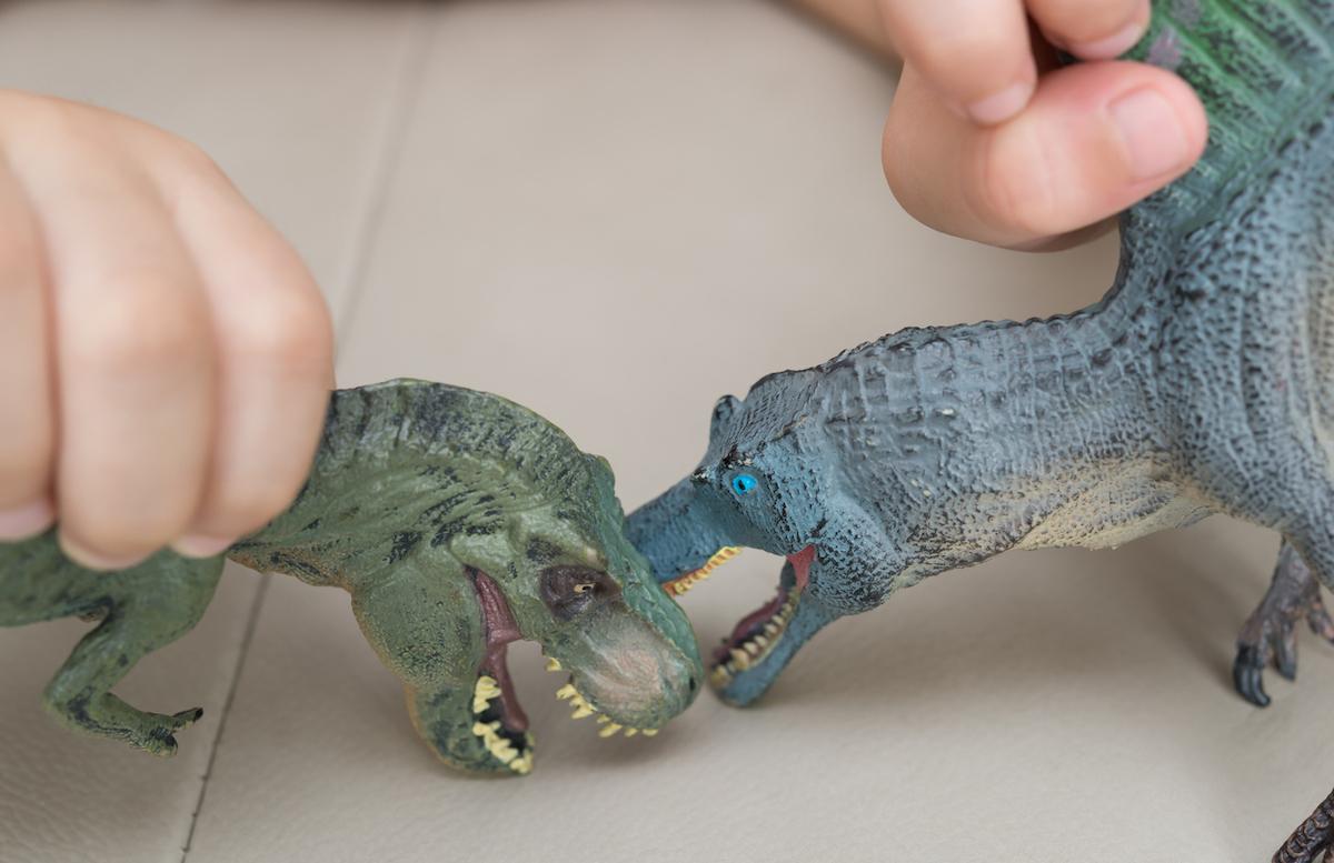 playing with dinosaur toys