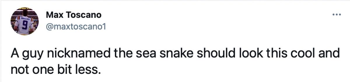 sea snake reaction