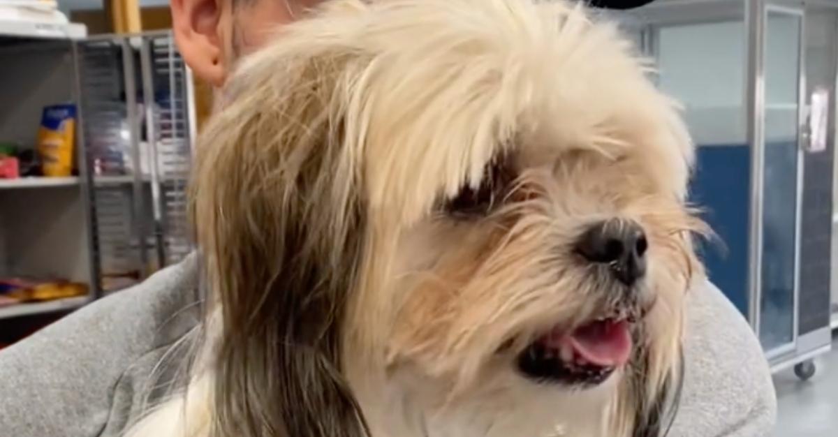 Arielle's husband holding his family's stolen dog