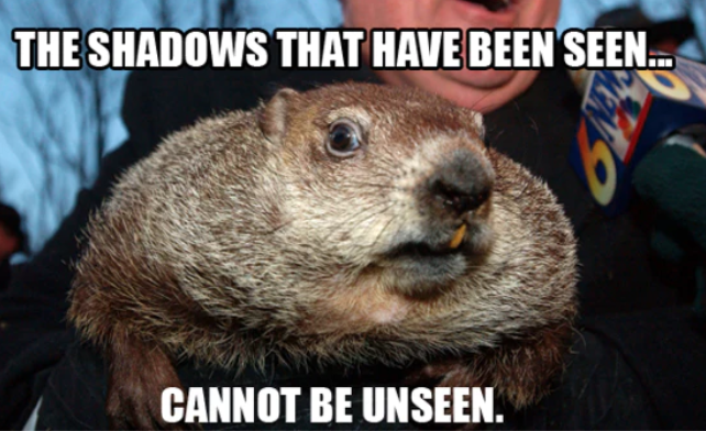 funny groundhog day memes