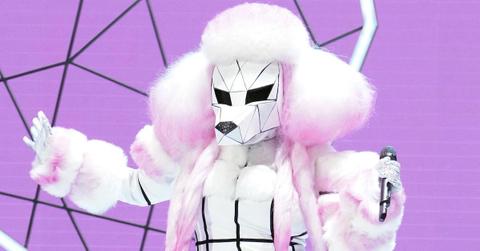 poodle masked singer