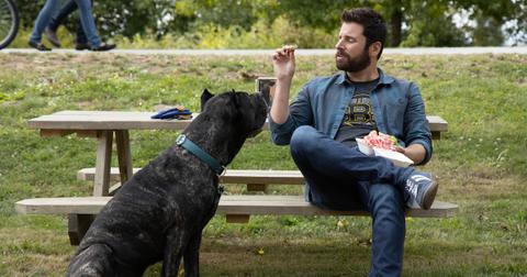 what-kind-of-dog-is-colin-in-a-million-little-things-1573160543925.jpg
