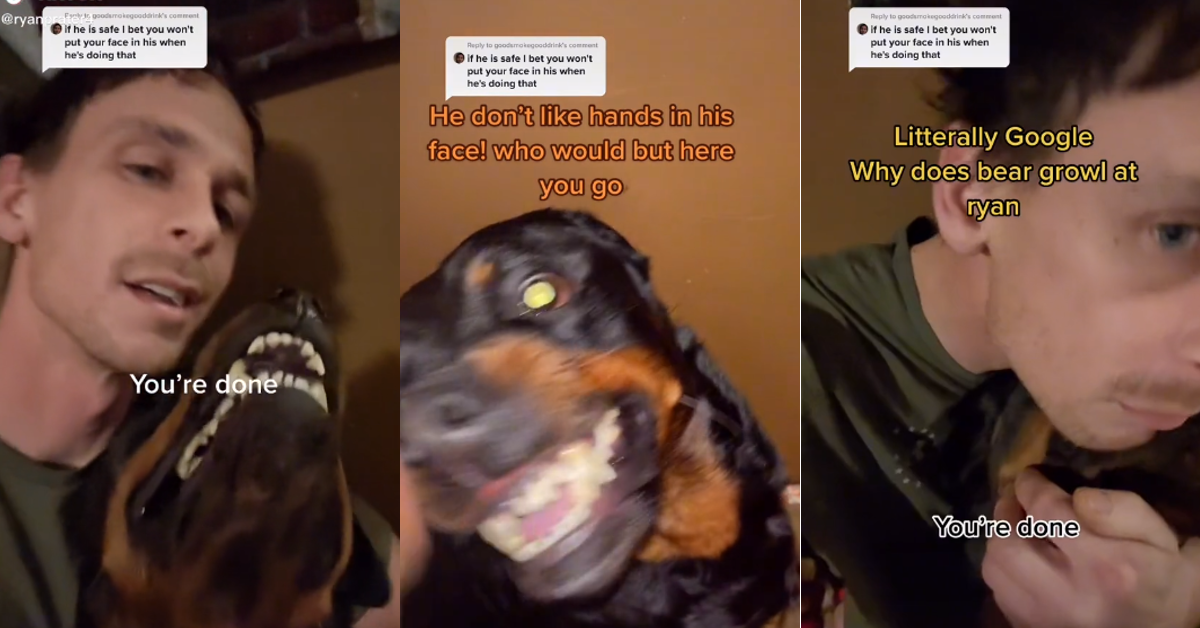 why do rottweilers growl