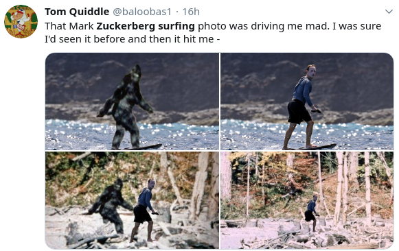 mark zuckerberg surfing hawaii meme