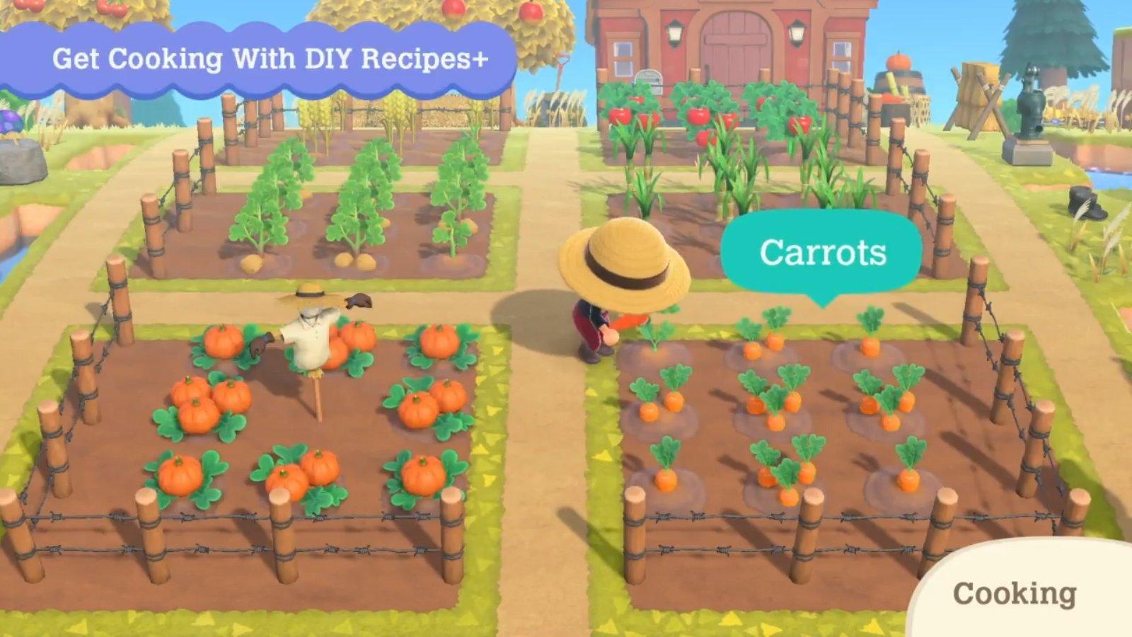 Crops you can grow in 'ACNH'