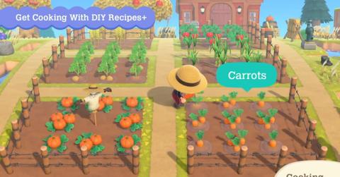 Crops you can grow in 'ACNH'