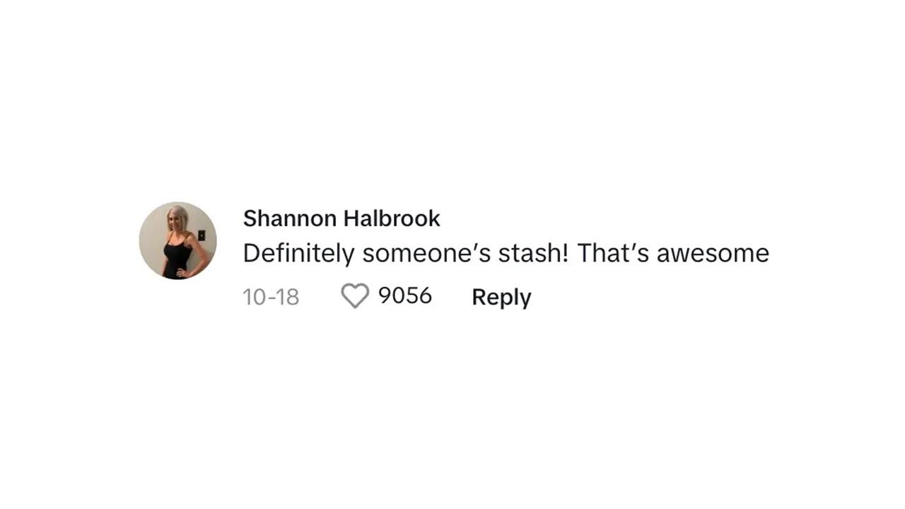 A commenter saying that the dumpster finds had to be someone's stash