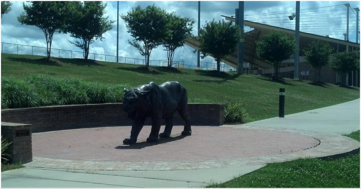 LSU Tiger Statue on campus