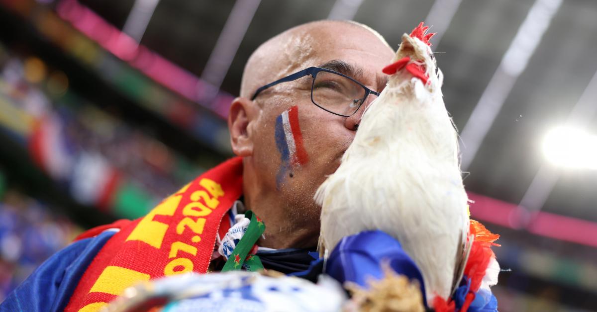 man with rooster french football team france