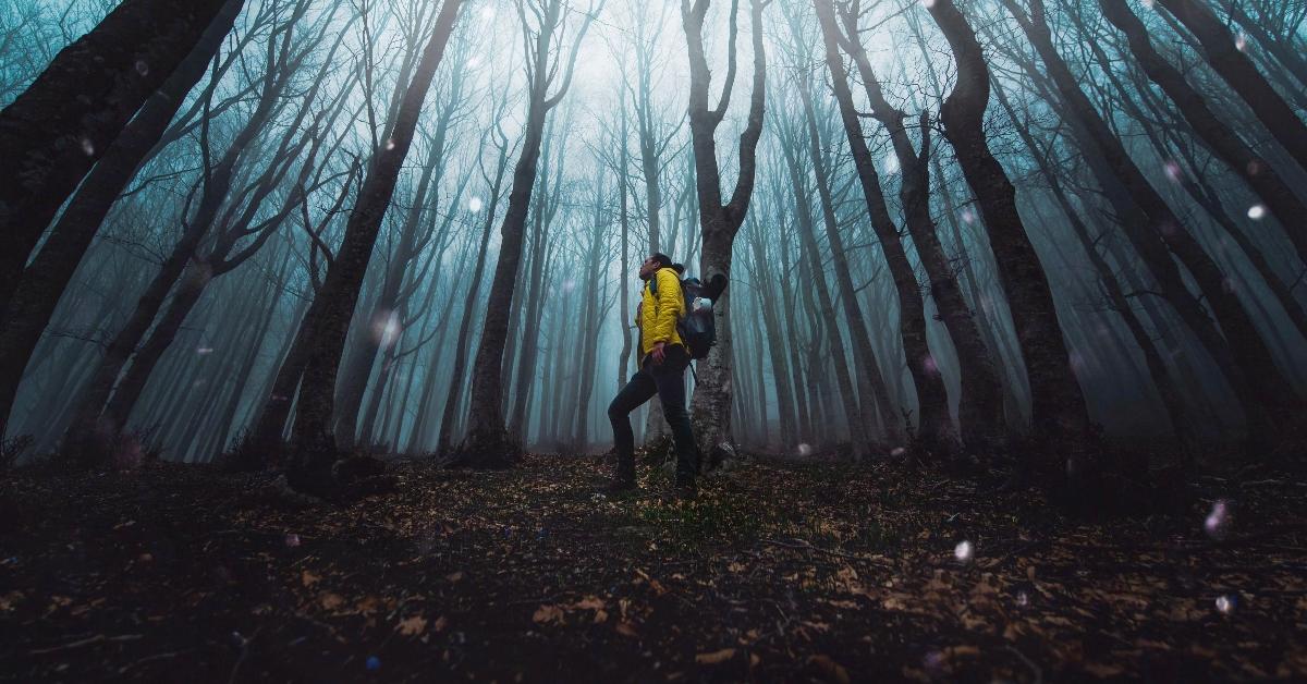 Man hiking alone in woods