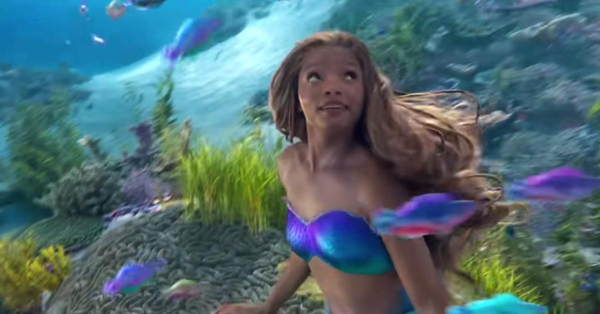 Ariel (Halle Bailey) 