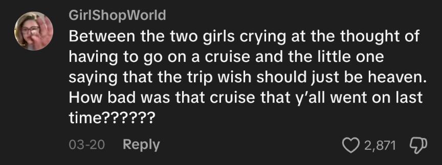 Someone's comment on the Disney cruise genie wish TikTok.