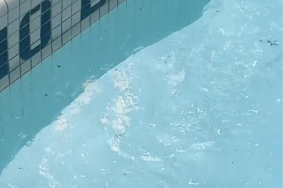 An image of the dirty pool water