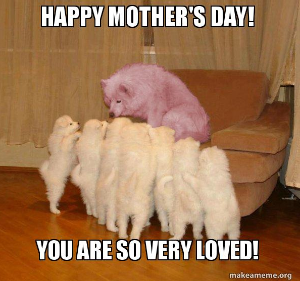 happy dog mom day meme