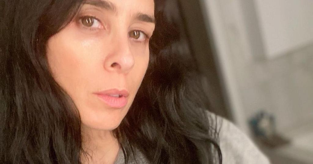 Who Is Sarah Silverman's New Boyfriend? They've Had a Pandemic Romance