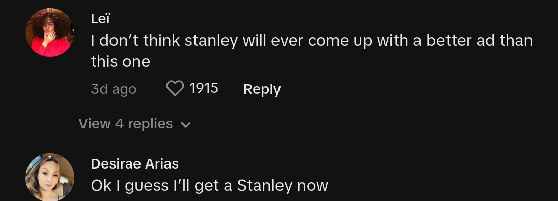 stanley mug still has ice car fire