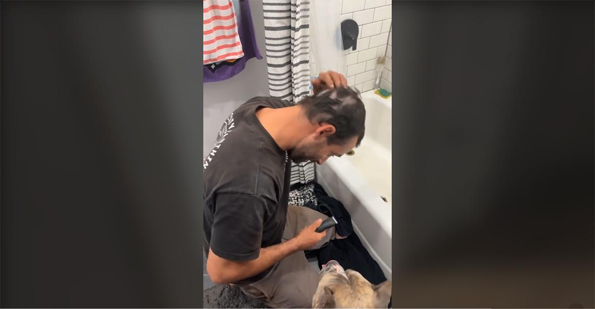 6-year-old cuts dad's hair TikTok