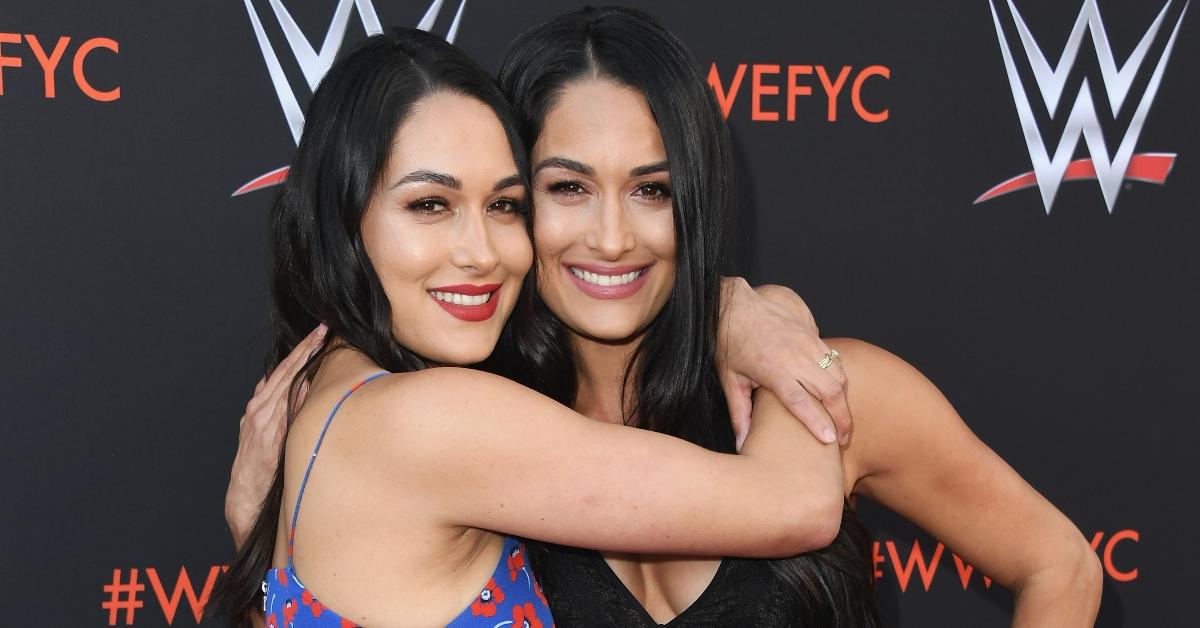 what happened bella twins dad