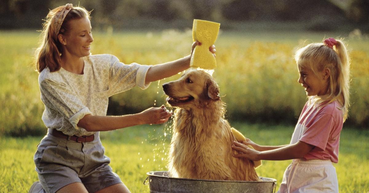 Mother and daughter giving dog a bath - stock photo