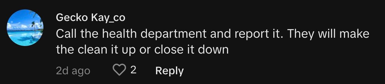 TikToker @geckokayco commented, "Call the health department and report it. They will make them clean it up or close it down."