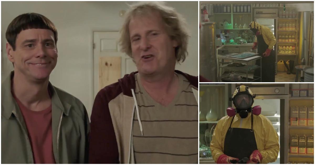 best movie cameos of all time bill murray dumb and dumber