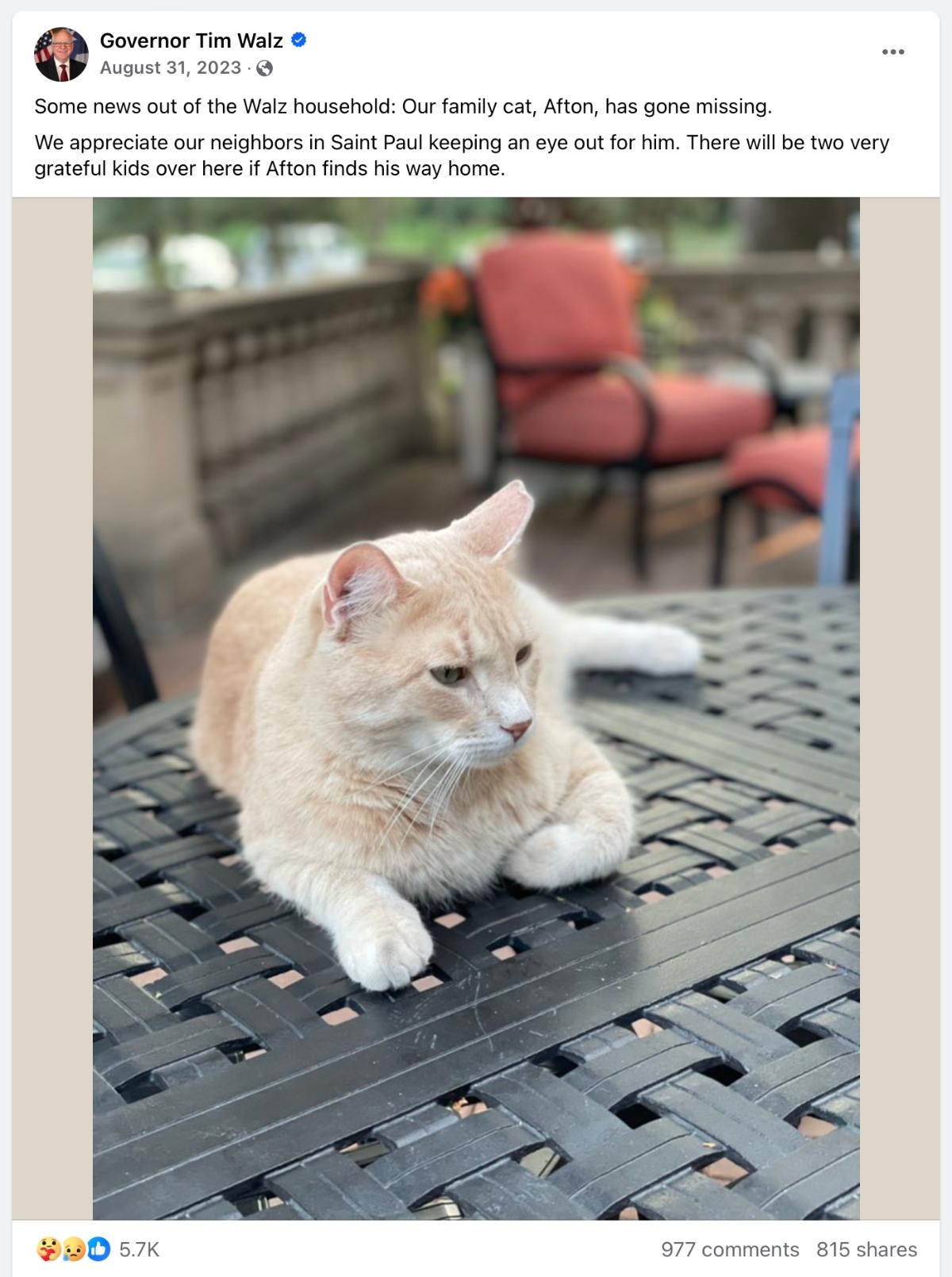 Tim Walz missing orange tabby cat Afton, sitting outside