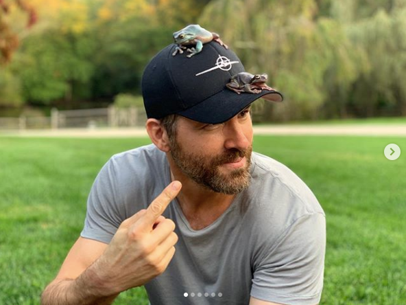 ryan reynolds frogs