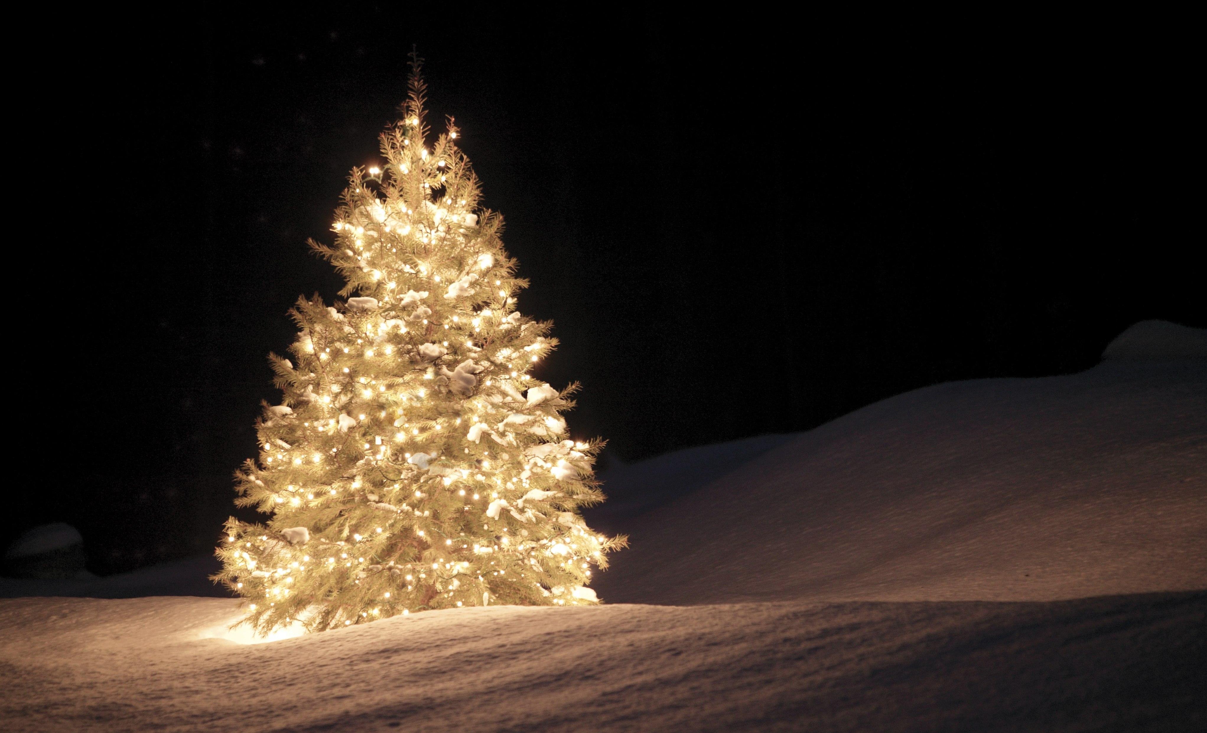 A lit-up Christmas tree in the snow.