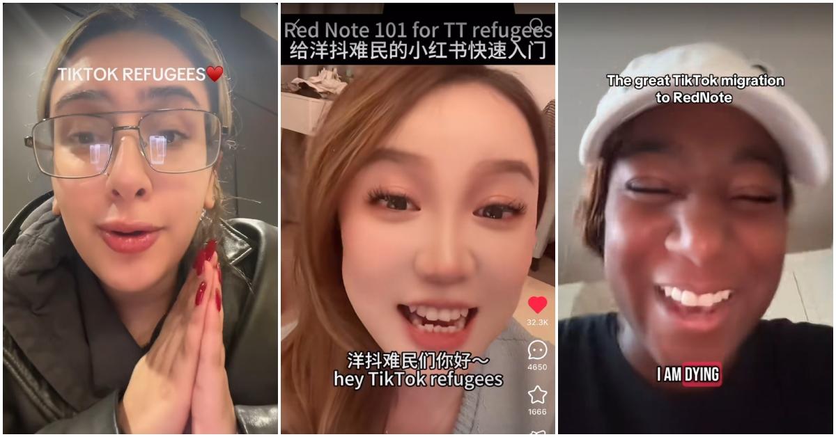 TikTok posts about Refugees