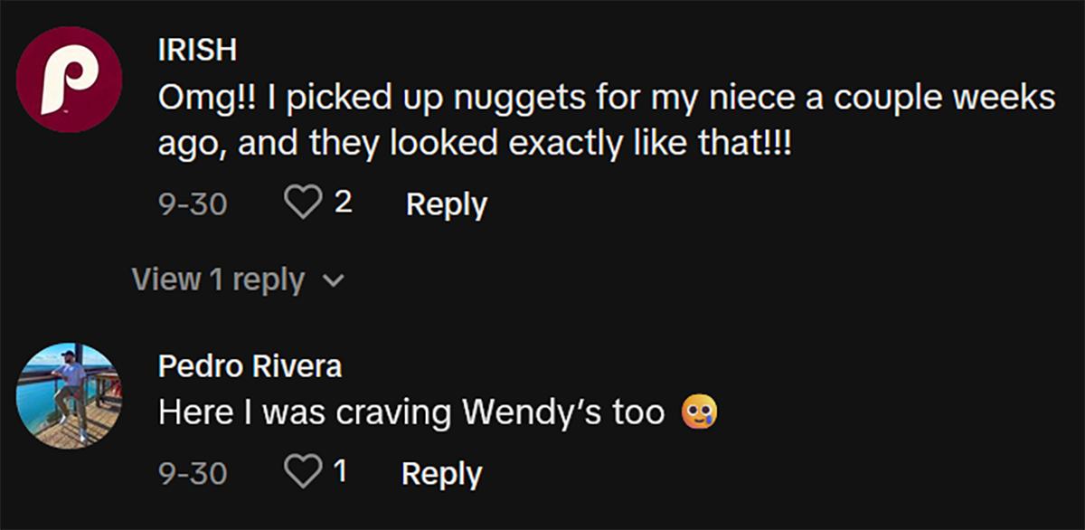 Comments on tiktok about wendy's holly chicken patty