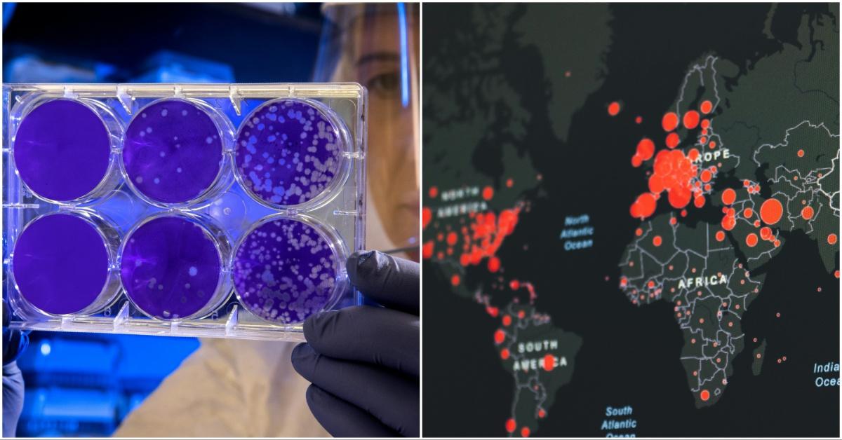 Stock photos of Hantavirus spreading doom