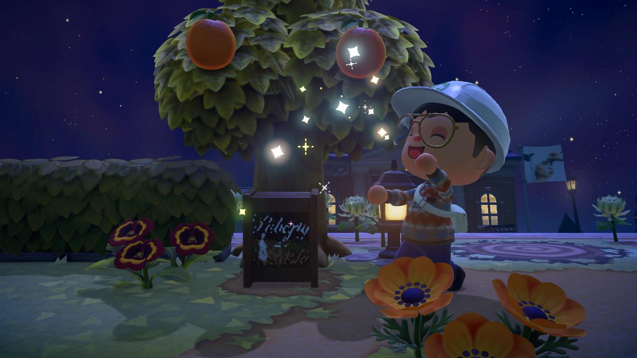 What Is the Donation Box in 'Animal Crossing'? — Plus, How to Get It