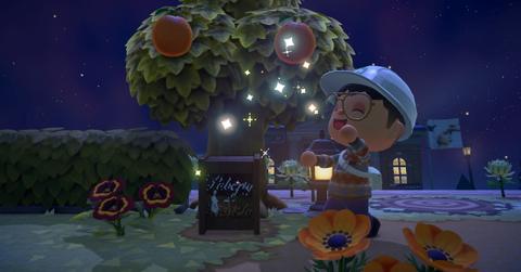 Donation box in 'ACNH'