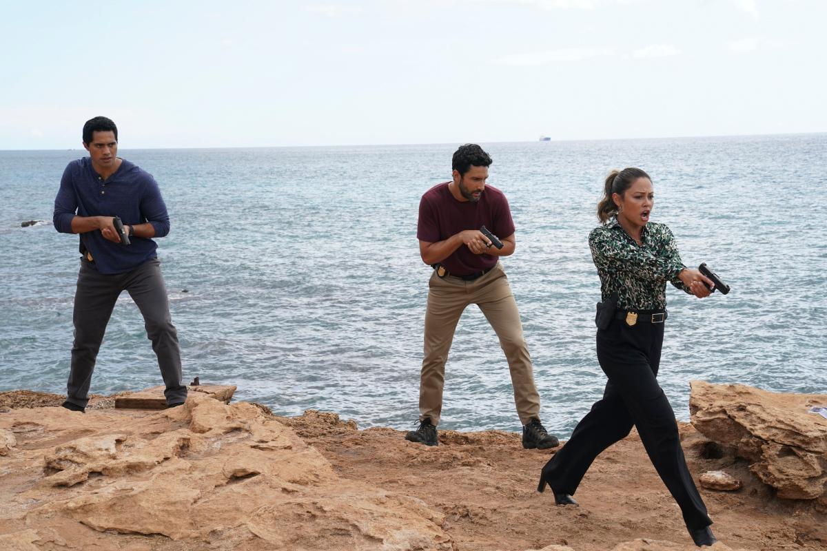 How Did Vanessa Lachey Hurt Herself on 'NCIS: Hawaiʻi'? It's Wild