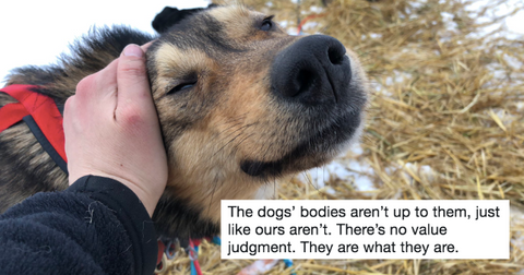 featured-sled-dogs-1563217681509.jpg