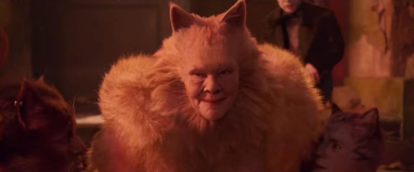 cats trailer