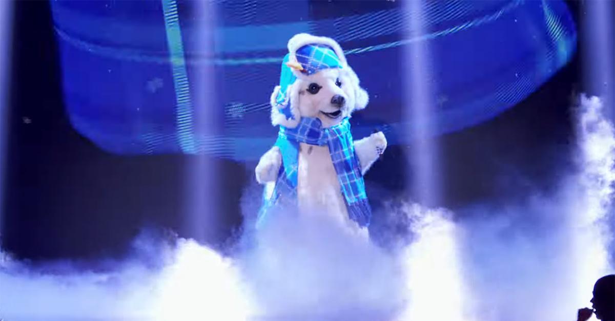 The Seal on 'The Masked Singer'