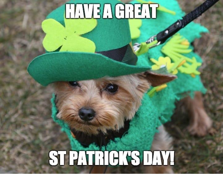 The Very Best St. Patrick's Day Memes To Help You Celebrate